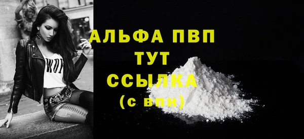 дмт Бородино