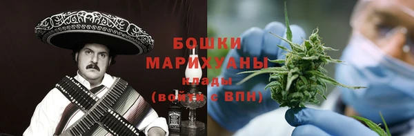 дмт Бородино