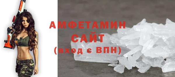 дмт Бородино