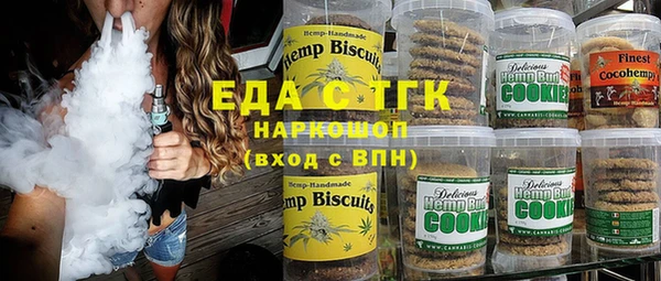 дмт Бородино