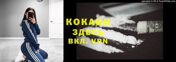 твердый Бронницы