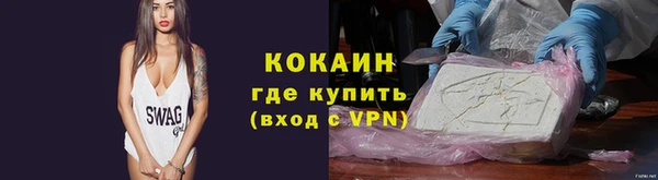 дмт Бородино