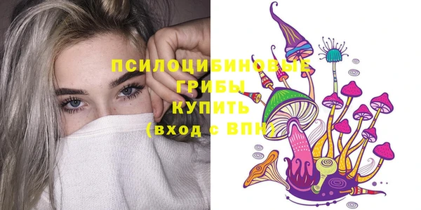 дмт Бородино