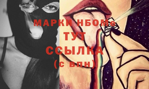 дмт Бородино