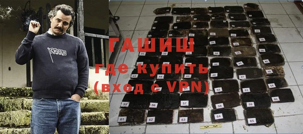 дмт Бородино