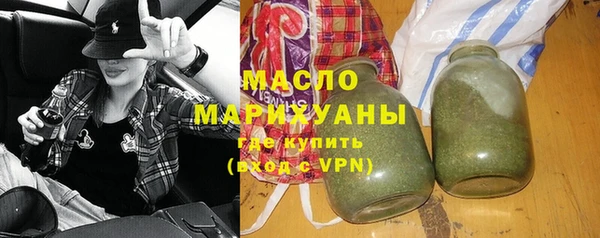 дмт Бородино