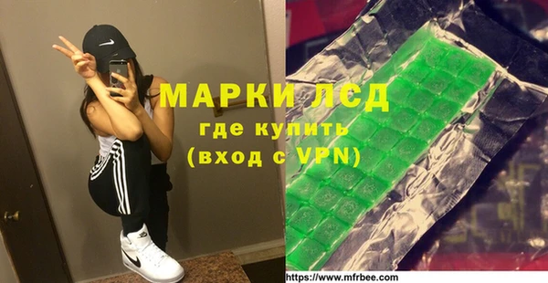 дмт Бородино