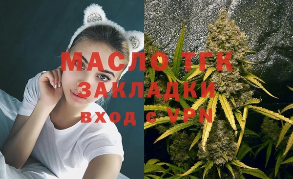твердый Бронницы