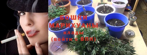 дмт Бородино